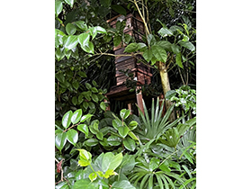 樹木の中の日本蜜蜂の巣箱
